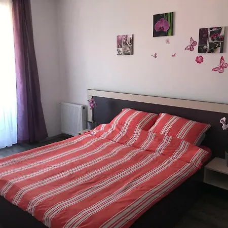 Cozy Apartment Brasov